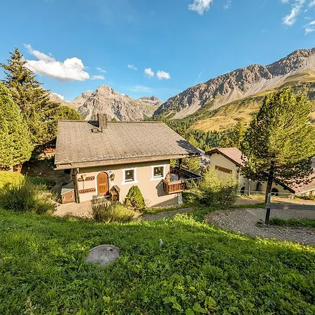 Steinbock By ארוזה